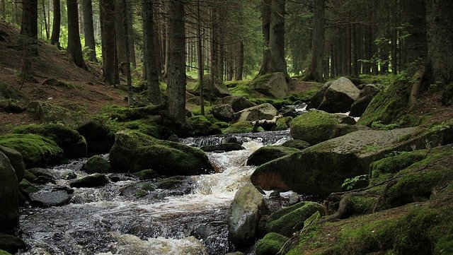 Dovolená