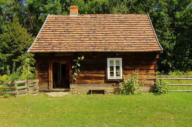 Peníze na sny